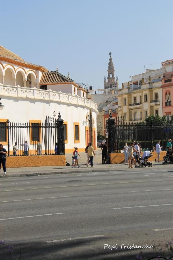 Suites Las Setas & Bicicletas Electricas Gratis Sevilla Exterior foto